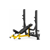 Photo Banc incline 135 kg 300 x 230 mm fitness sport musculation