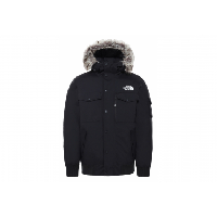 Photo Blouson the north face recycled gotham noir homme