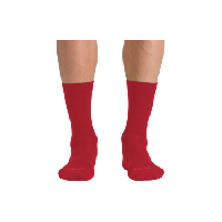 Photo Chaussettes sportful matchy wool rouge