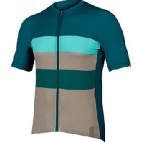 Photo Maillot manches courtes endura pro sl race bleu