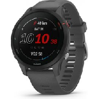 Photo Montre de sport garmin forerunner 255 gris