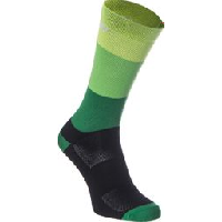 Photo Paire de chaussettes massi noir vert