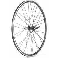 Photo Roue 28" reflex campagnolo moyeu arrière noir