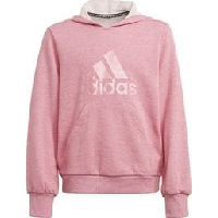 Photo Sweatshirt a capuche enfant adidas future icons logo