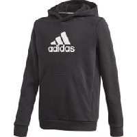 Photo Sweatshirt a capuche enfant adidas logo