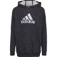 Photo Sweatshirt enfant adidas future icons badge of sport