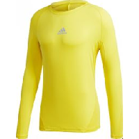 Photo T shirt adidas alphaskin sport