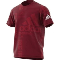 Photo T shirt adidas freelift daily press