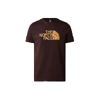 Photo T shirt manches courtes the north face easy marron