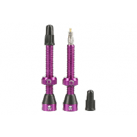 Photo Tubolight paire de valves tubeless 50mm vtt purple