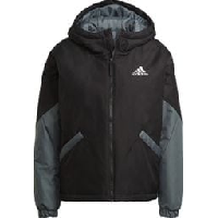 Photo Veste femme adidas back to sport insulated